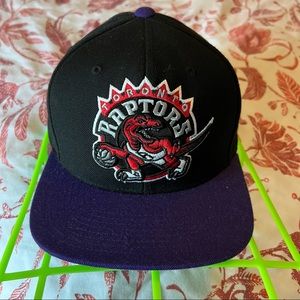 Toronto Raptors SnapBack